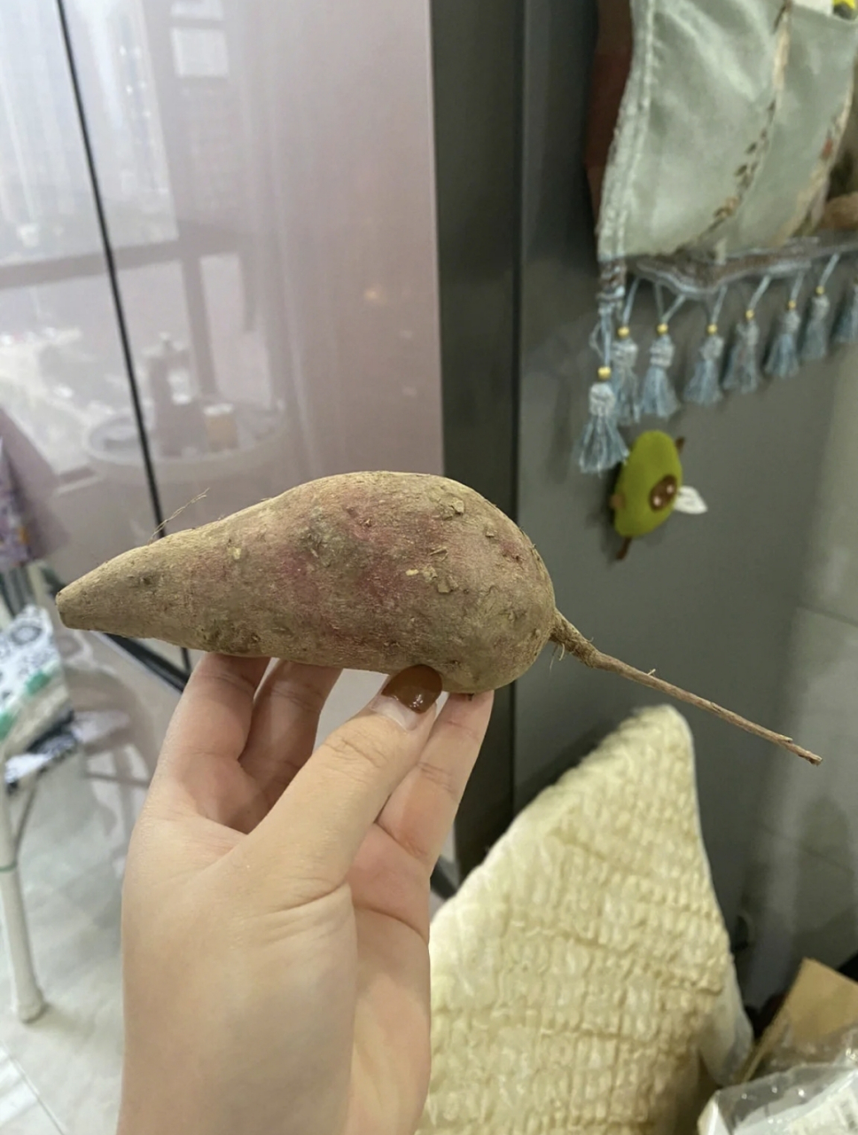 鼠薯我呀,马上就要被愚蠢的人类给吃掉咯.