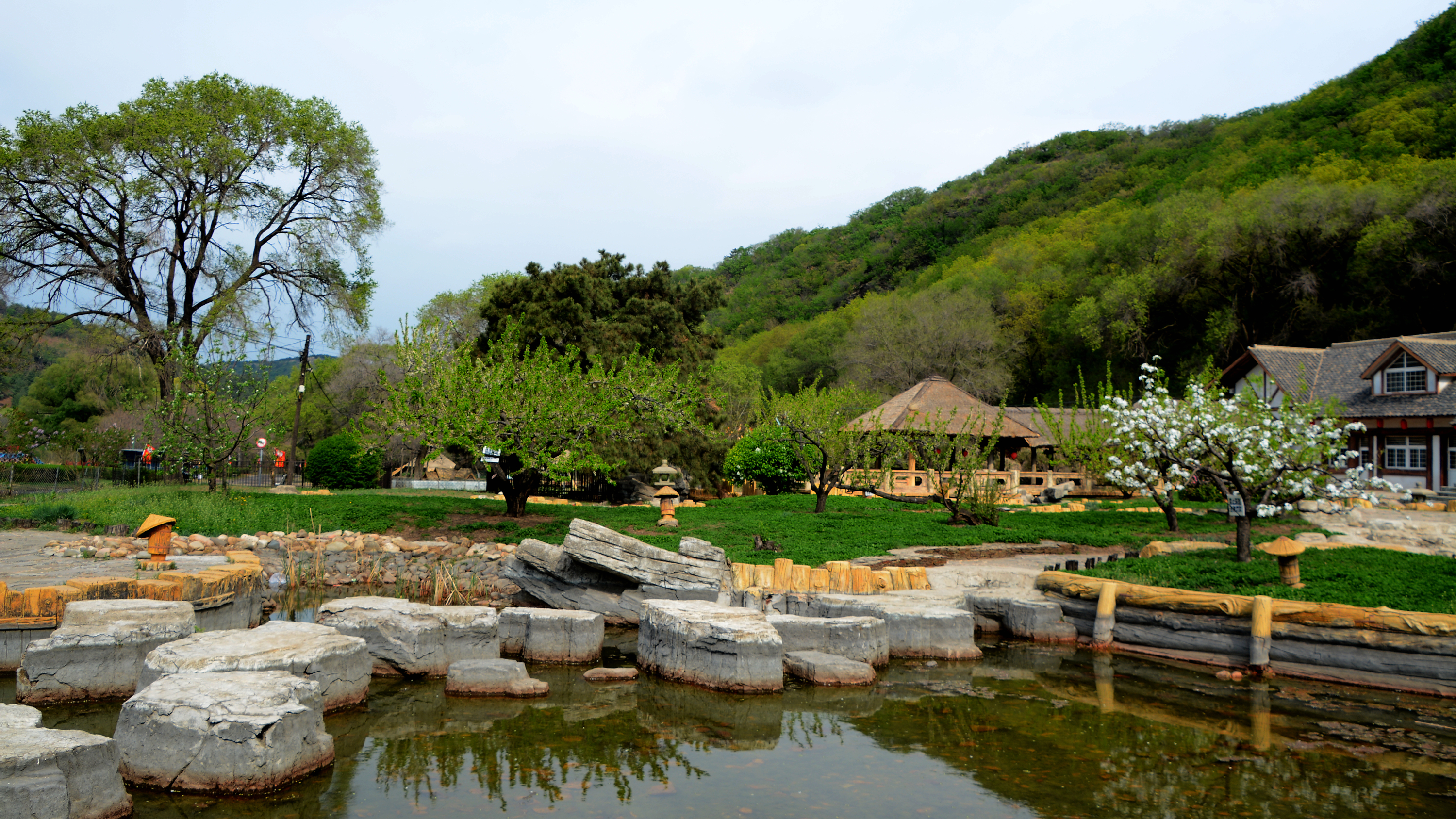 自驾游走进春天里的沈阳森林公园!