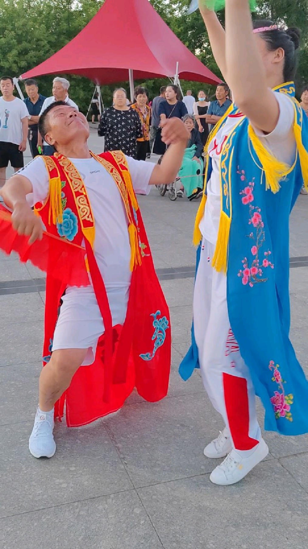 黑龙江省绥化市望奎县植物园,最精彩秧歌-度小视