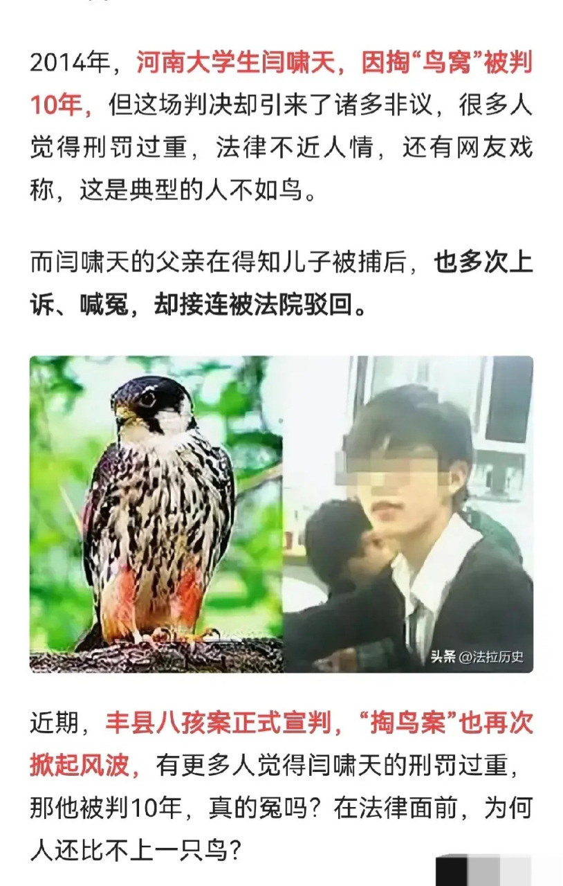 十年时间,青春韶华没了,傲气没了,考公不行,工作