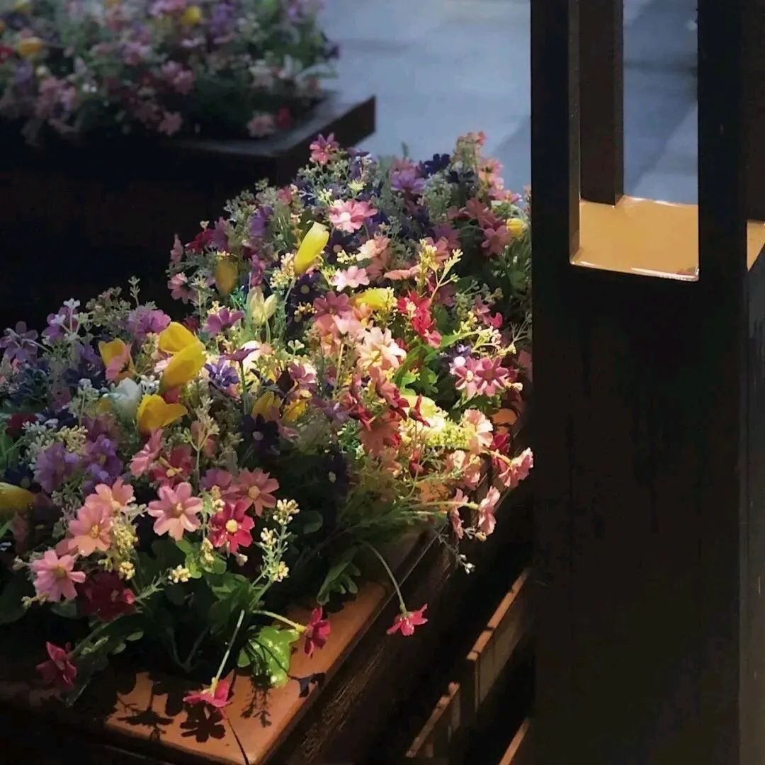 图片[4] - 唯美的花图片小清新 好看的花朵背景图片 - 柒兔瞄