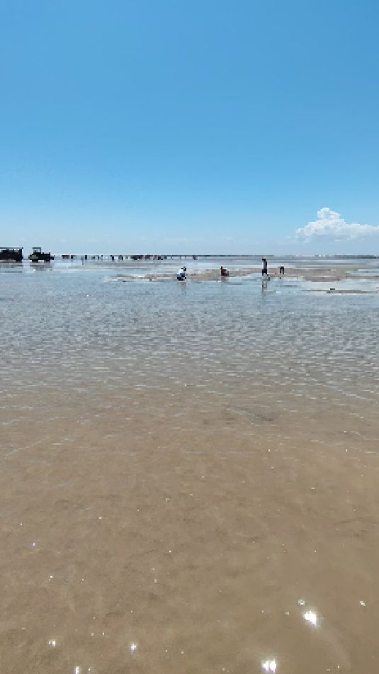 东营金泥湾挖蛤蜊,准备走起吗,去年挖的不过瘾,今年得早点走了