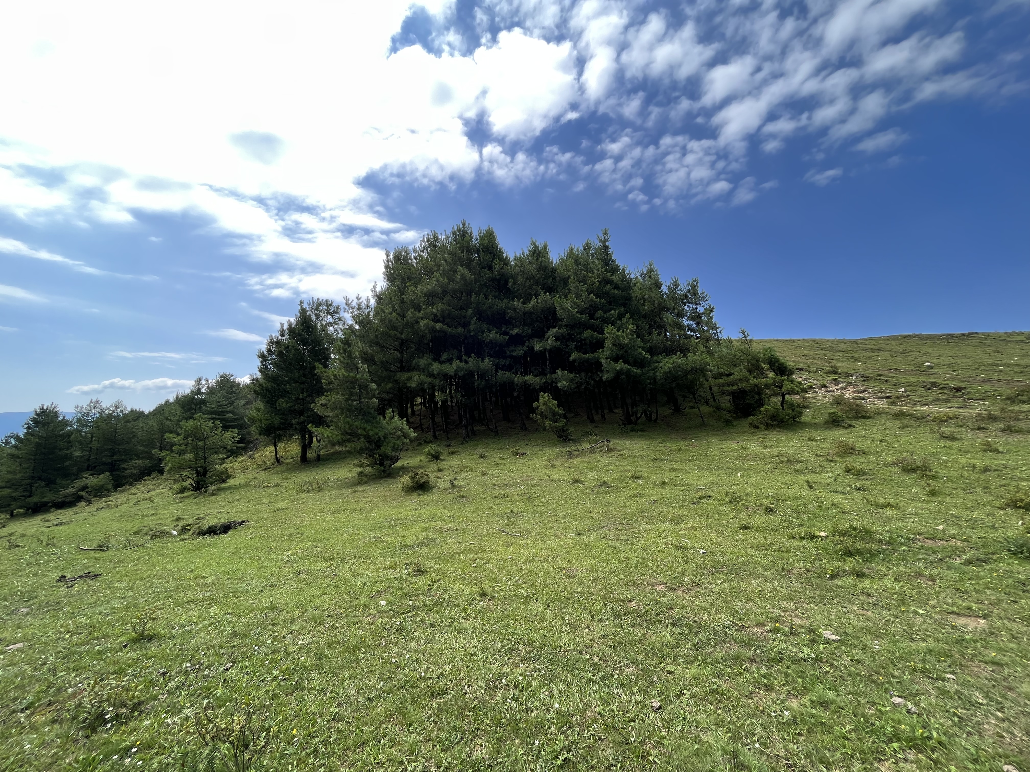 大理洱源鸟吊山,原生秘境,草原林海