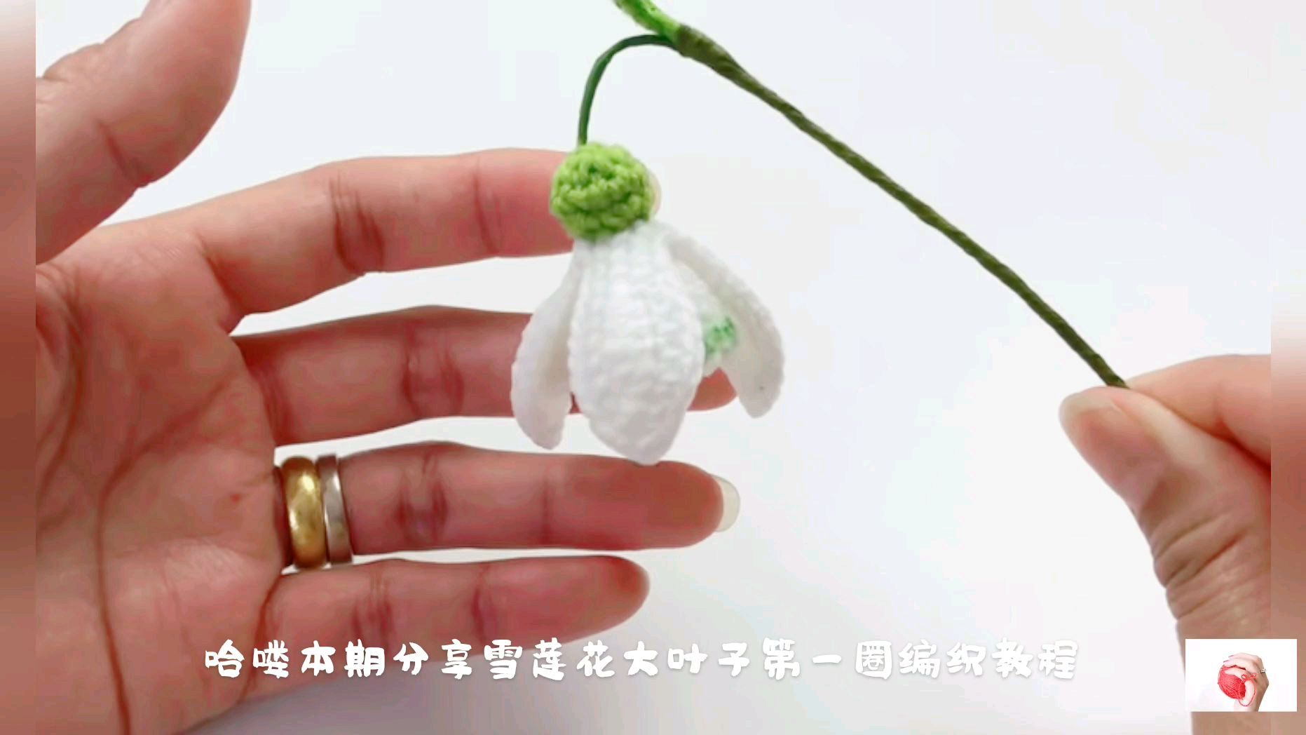 手工编织雪莲花大叶子第一圈,针法简单好学还好钩,新手教程