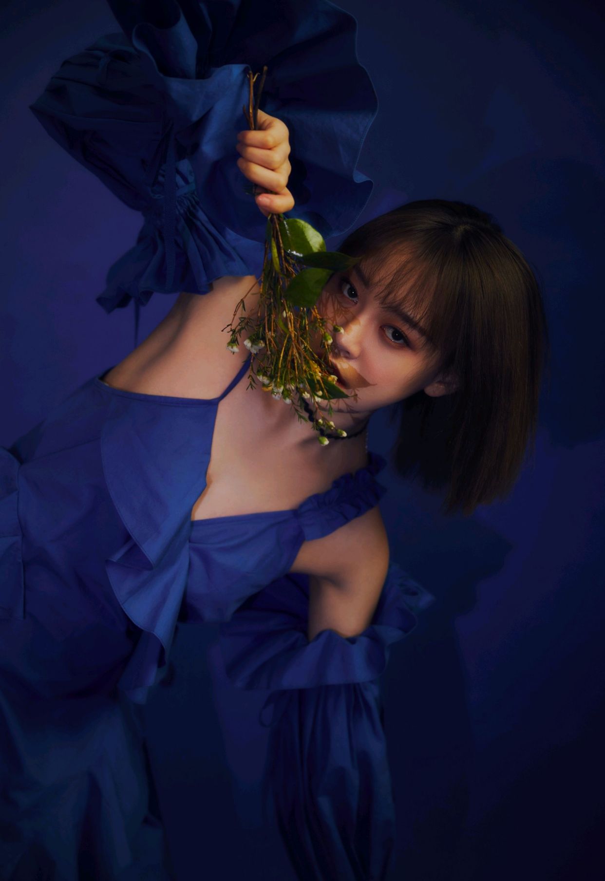 明星写真美图|陈倩楠