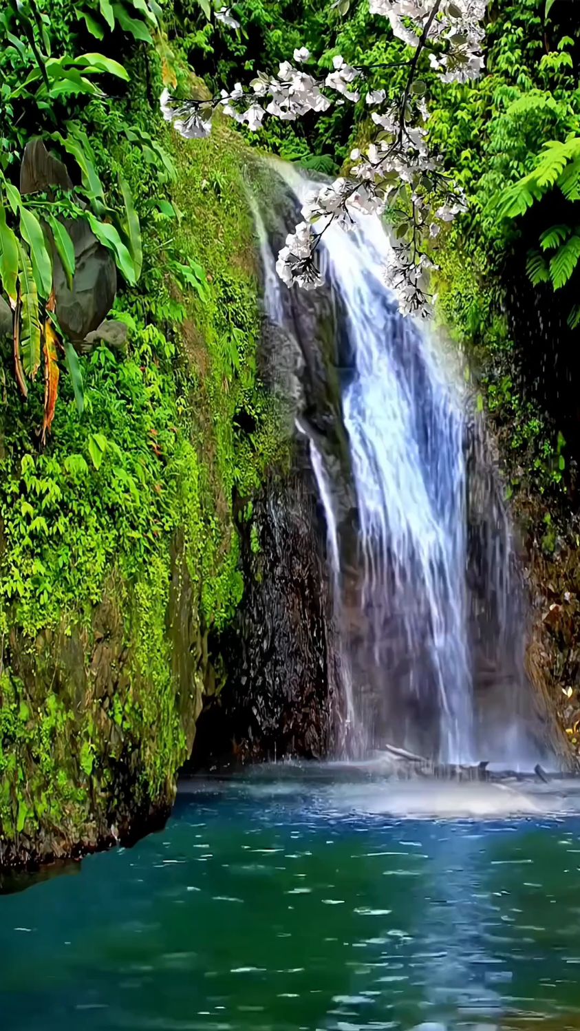 静谧的山野风景