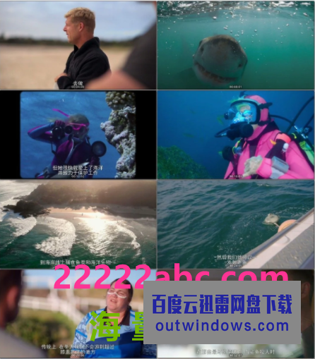 2021美国纪录片《克里斯·海姆斯沃斯的鲨滩奇遇》BD1080P.中字1080p|4k高清