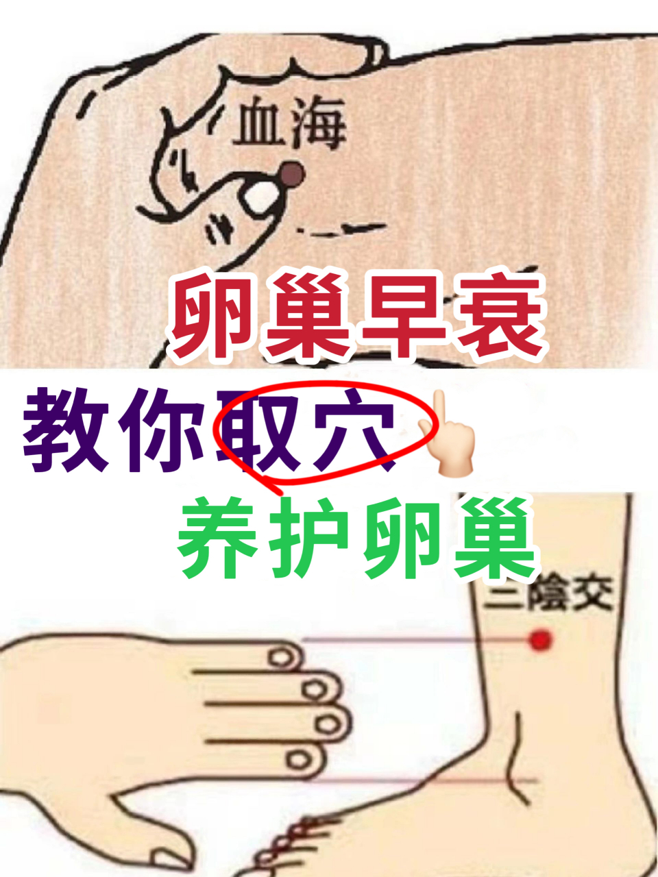 学会卵巢早衰穴位调理法,在家也可以养护提升卵巢功能!