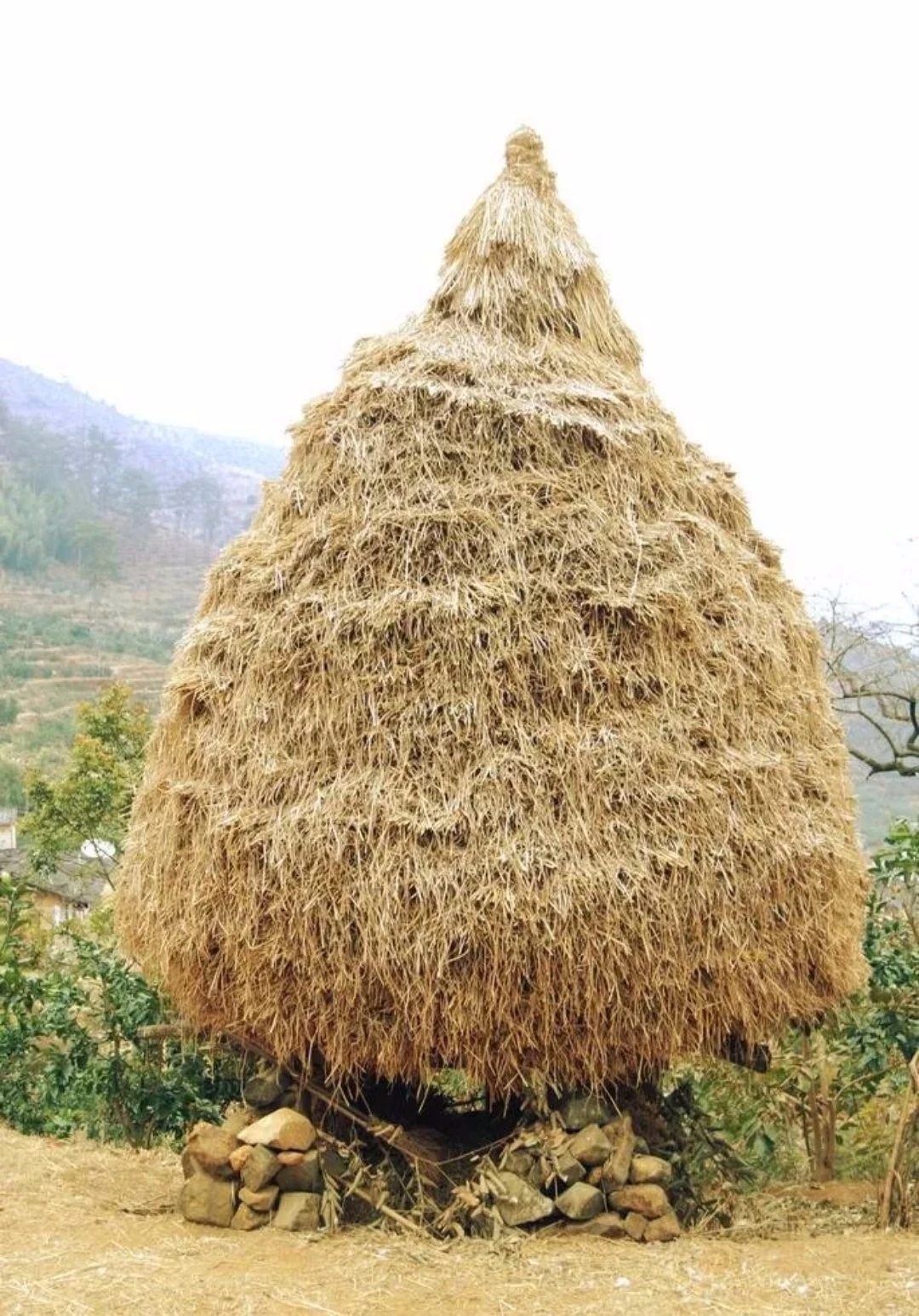消失的农村草垛子,承载儿时的一份记忆