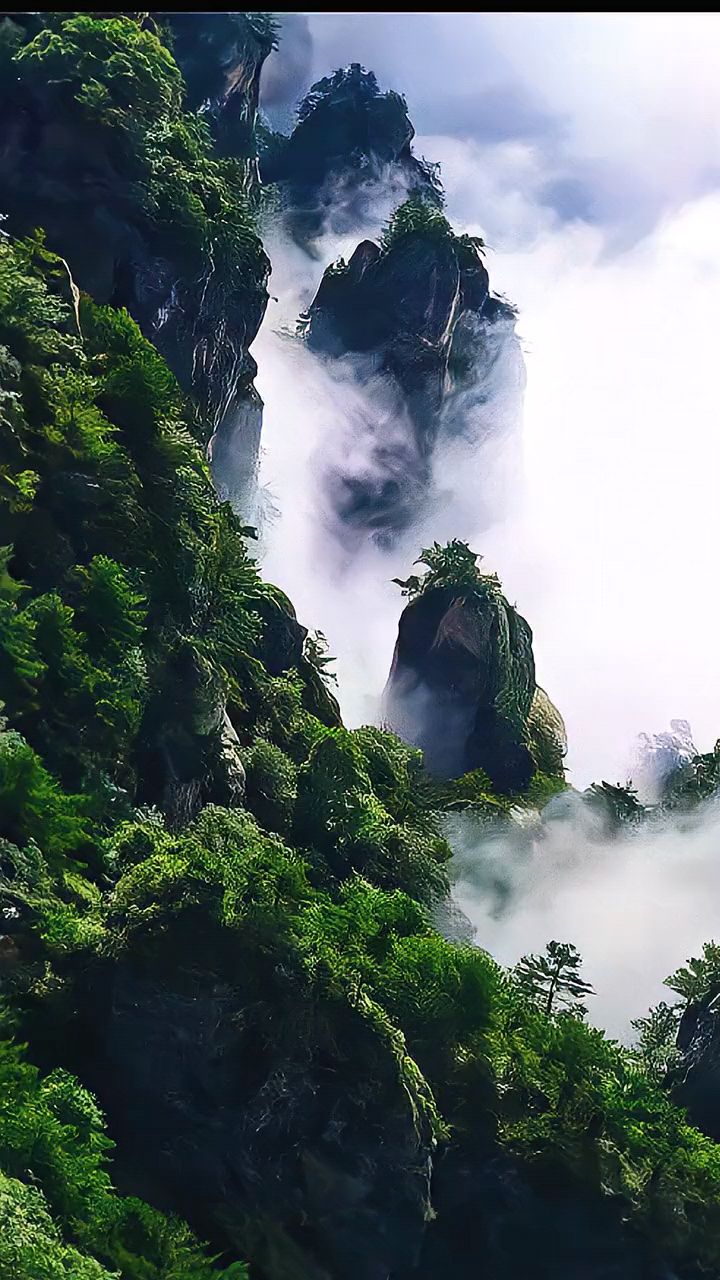 黄山的云海总是那样地美轮美奂如诗如画令人心醉大自然