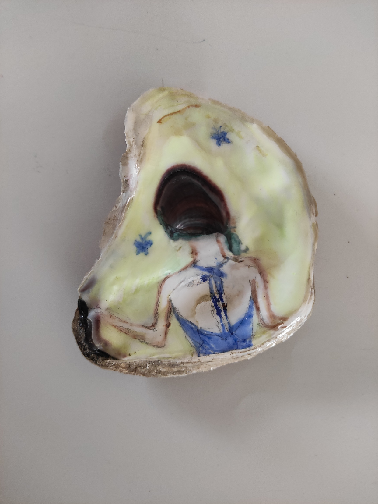 用牡蛎壳画的作品