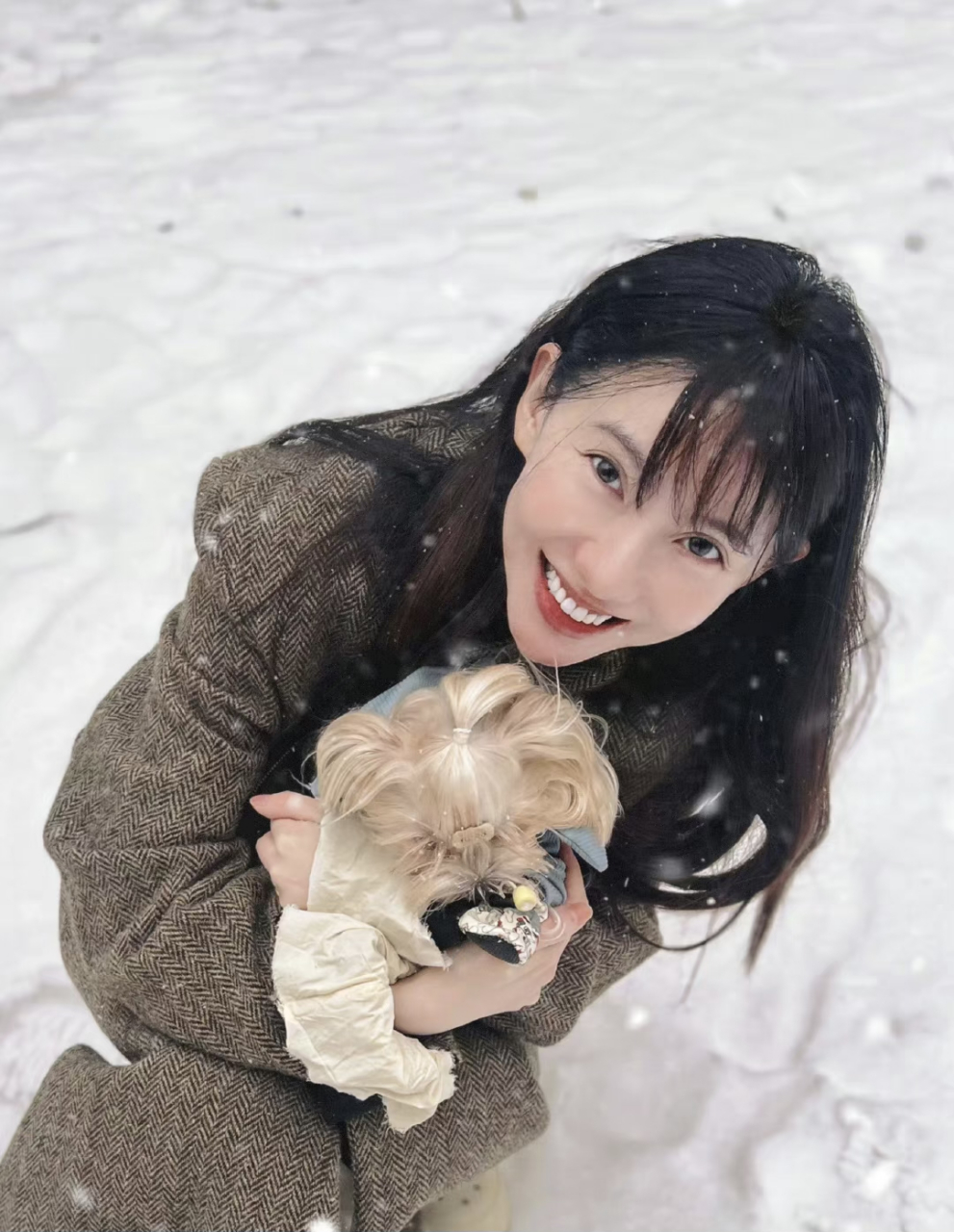 爱情公寓里,最迷人美丽的角色诺澜扮演者刘萌萌,现如今长这样了?
