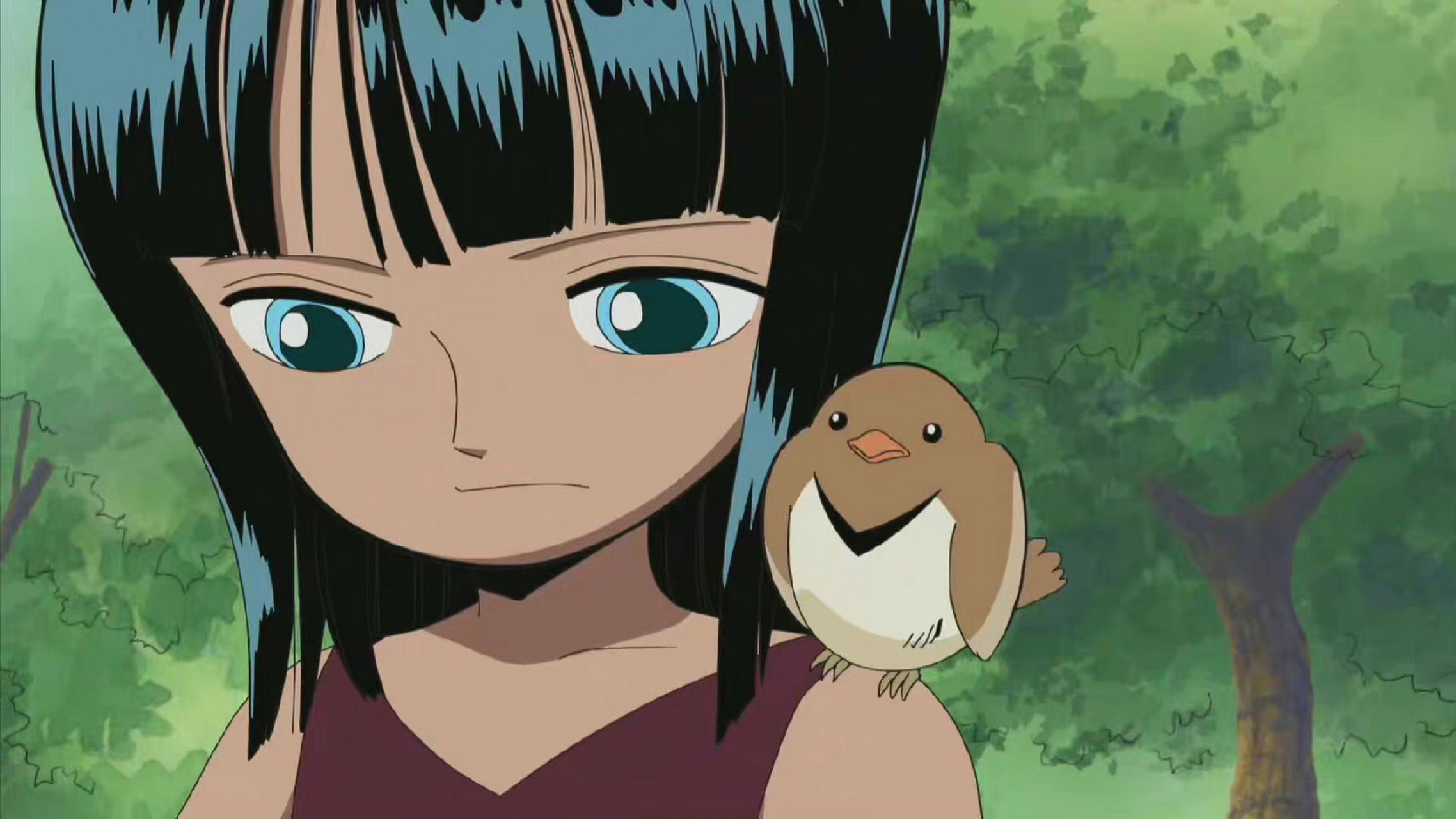 海贼王#女神罗宾的变化