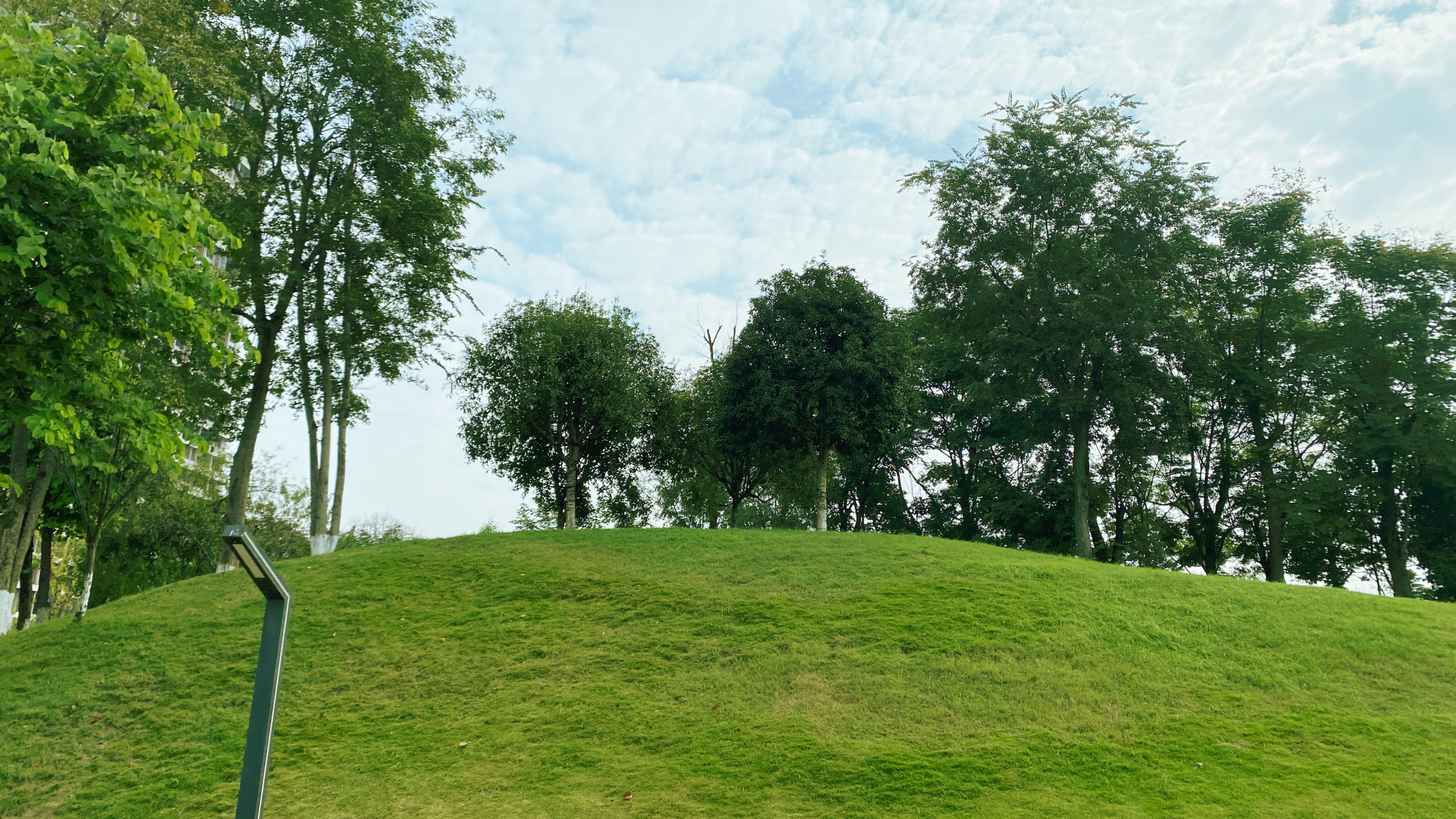 重庆金凤花房子湿地公园是一个集休闲,观光,游玩于一体的综合性公园.