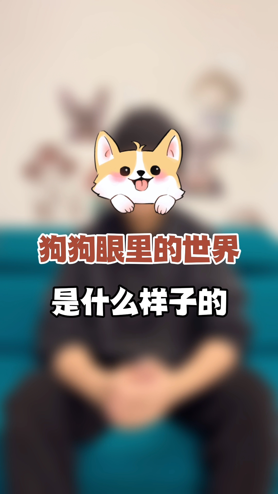 狗狗眼中的世界是什么样的?