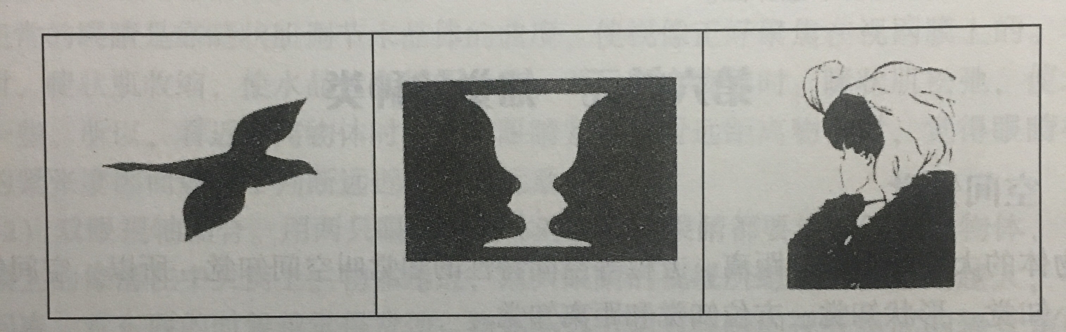 读书笔记:两可图形 你看到了什么?
