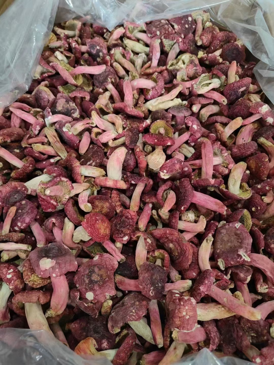 野生大红菇是稀有珍贵的食用菌,具有食跟药的价值,肉质鲜嫩,清甘