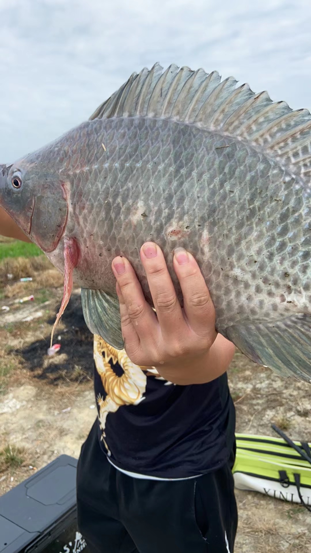 全方位解读广东大罗非鱼钓法技巧