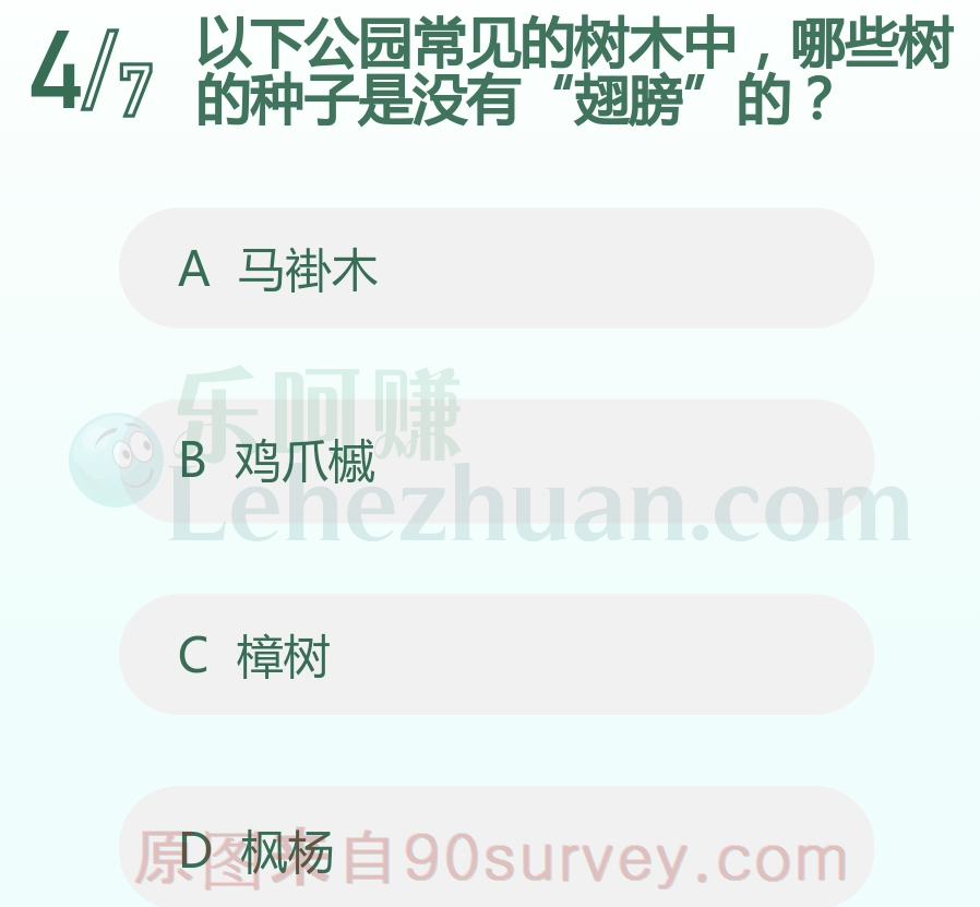 樟树的种子是没有翅膀的 樟树的种子是没有翅膀的