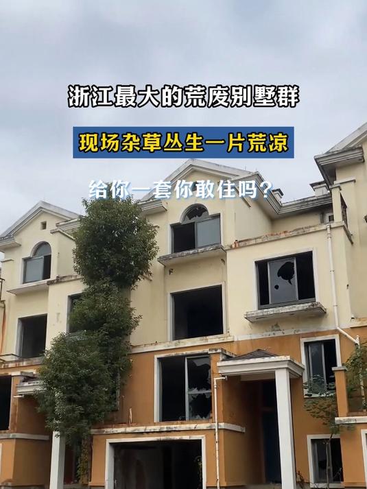 浙江最大的荒废别墅群,现场杂草丛生一片荒凉