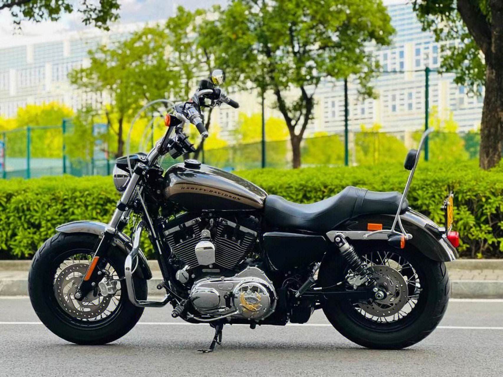 郑州航空港区的哈雷摩托车巡回展开始了,强劲得轰鸣声吸引了不少年轻