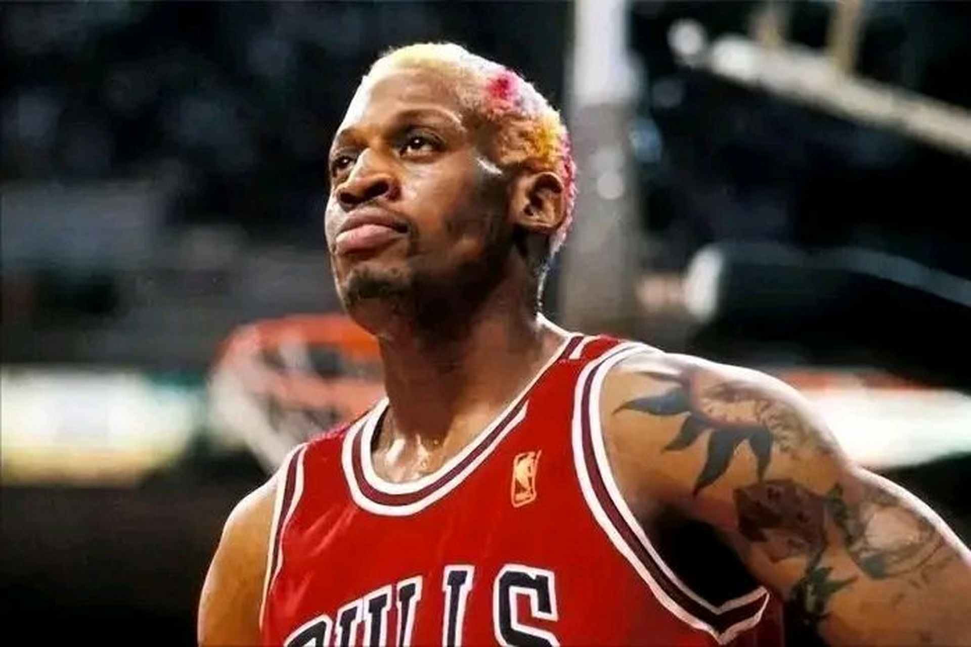 打着唇钉和耳环,走着妖娆的模特步,即使已经62岁了,照片中的罗德曼看