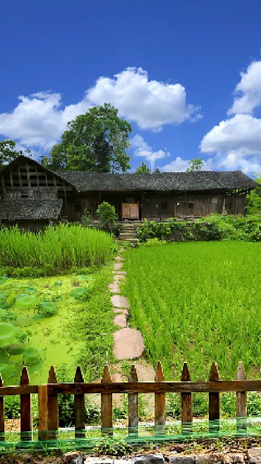 乡下风景农村图片