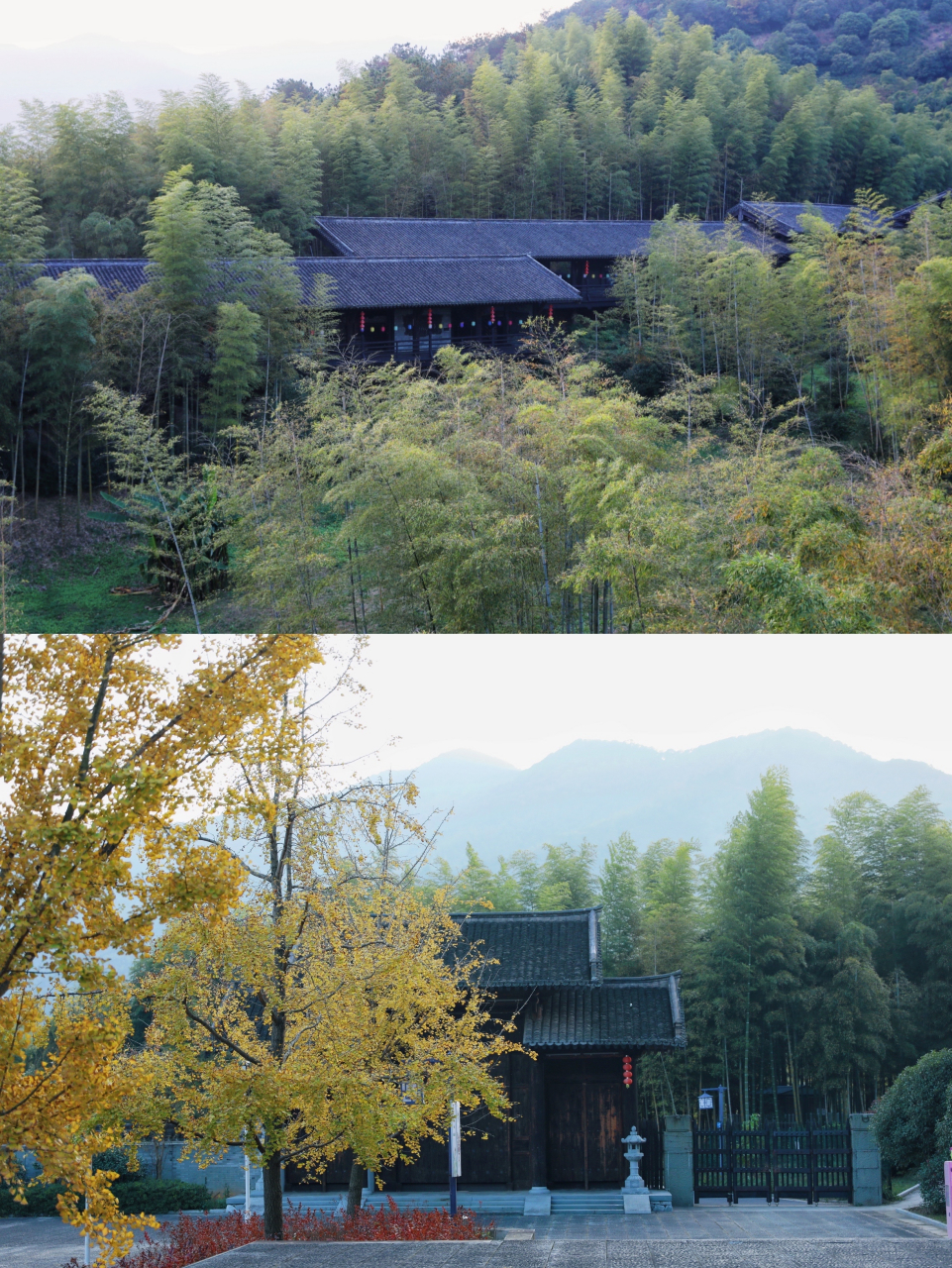 产自于浙江省湖州市长兴县水口乡顾渚山一带的长兴紫笋茶,是中国