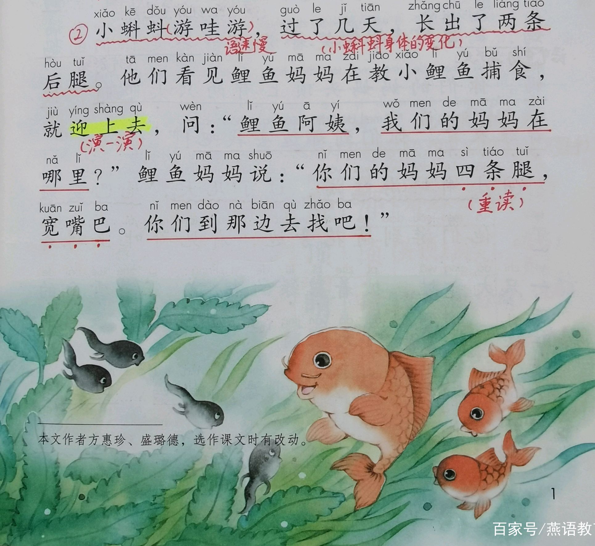 二年级上册《小蝌蚪找妈妈》教师手写笔记,暑假孩子预习好帮手