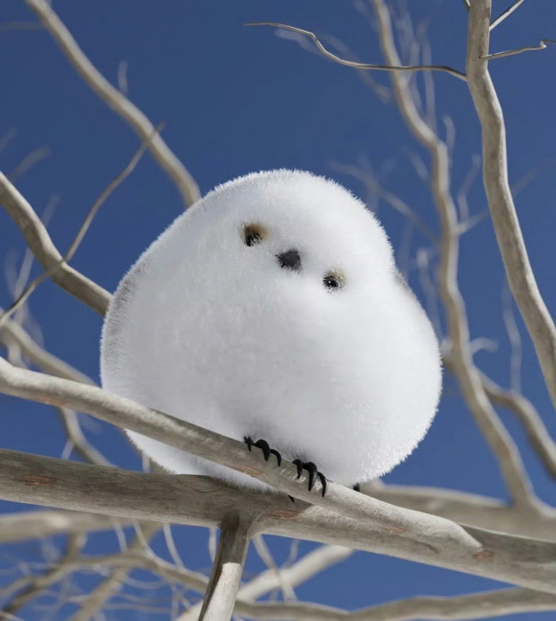 可爱的小肥啾 !