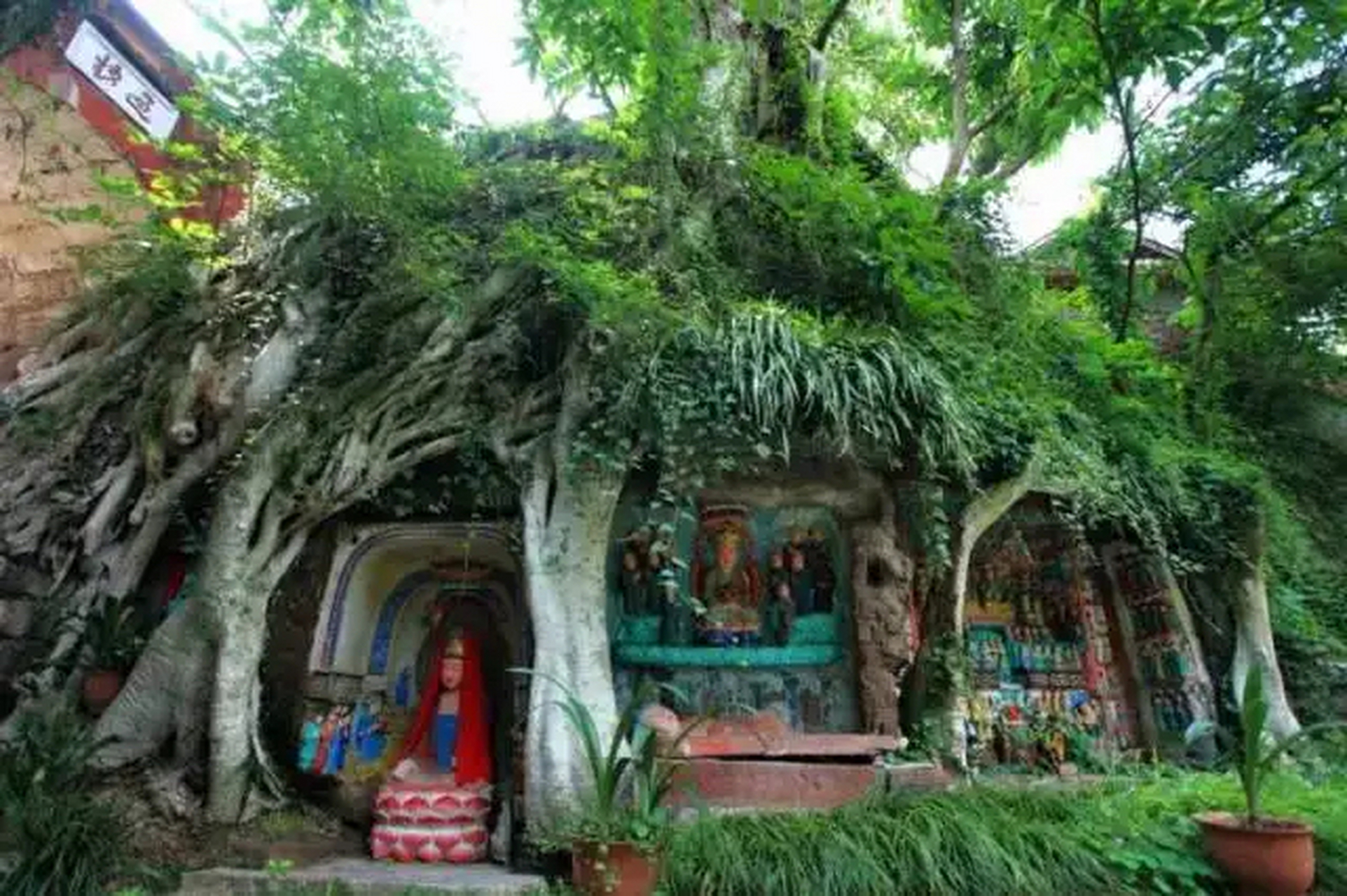 游帅乡乐至看诗意田园# 乐至"慈恩寺"又名:水观音寺.