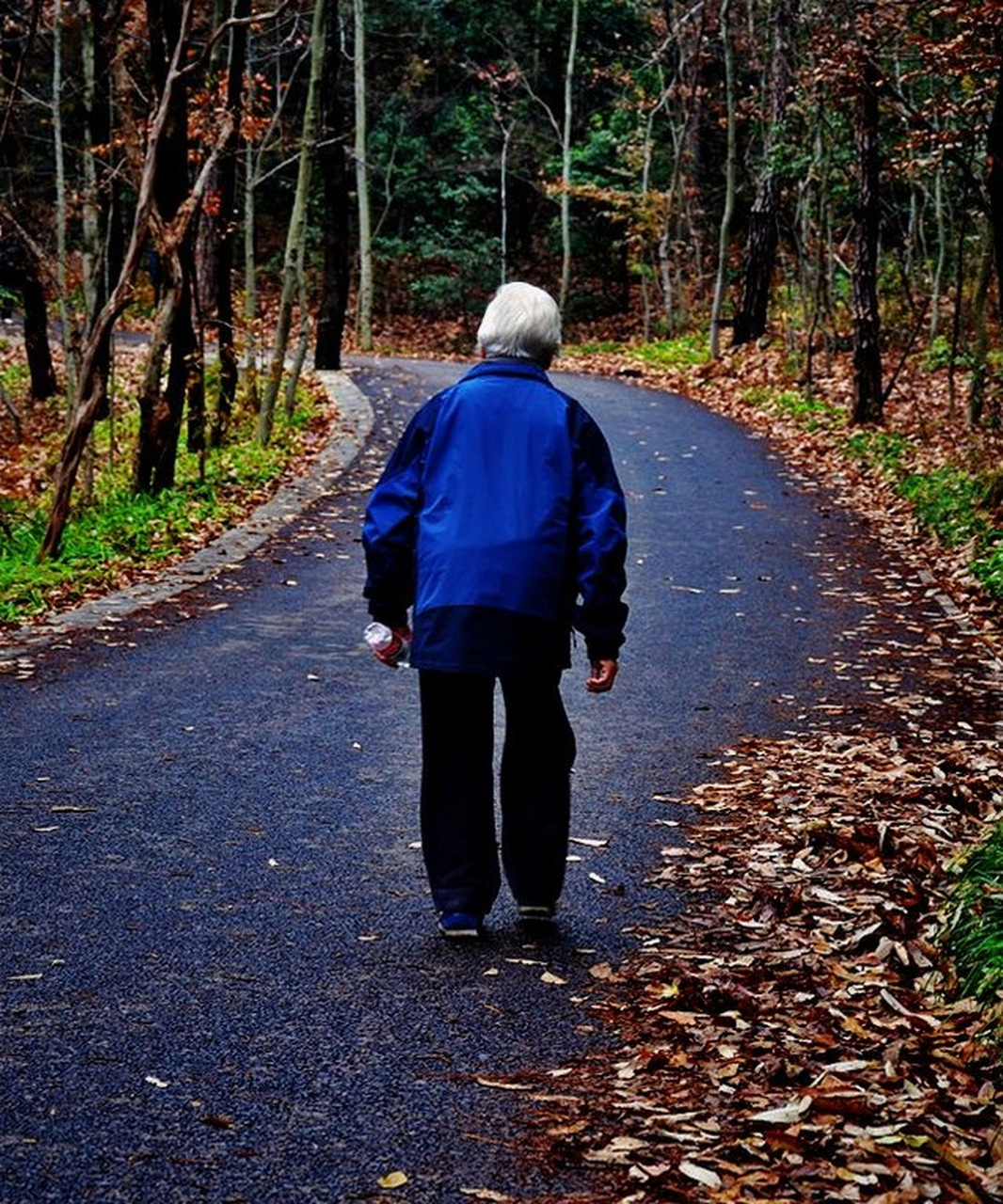 她轻轻地放下我,转过身去,那瘦弱且佝偻的身躯步履蹒跚地往家的方向