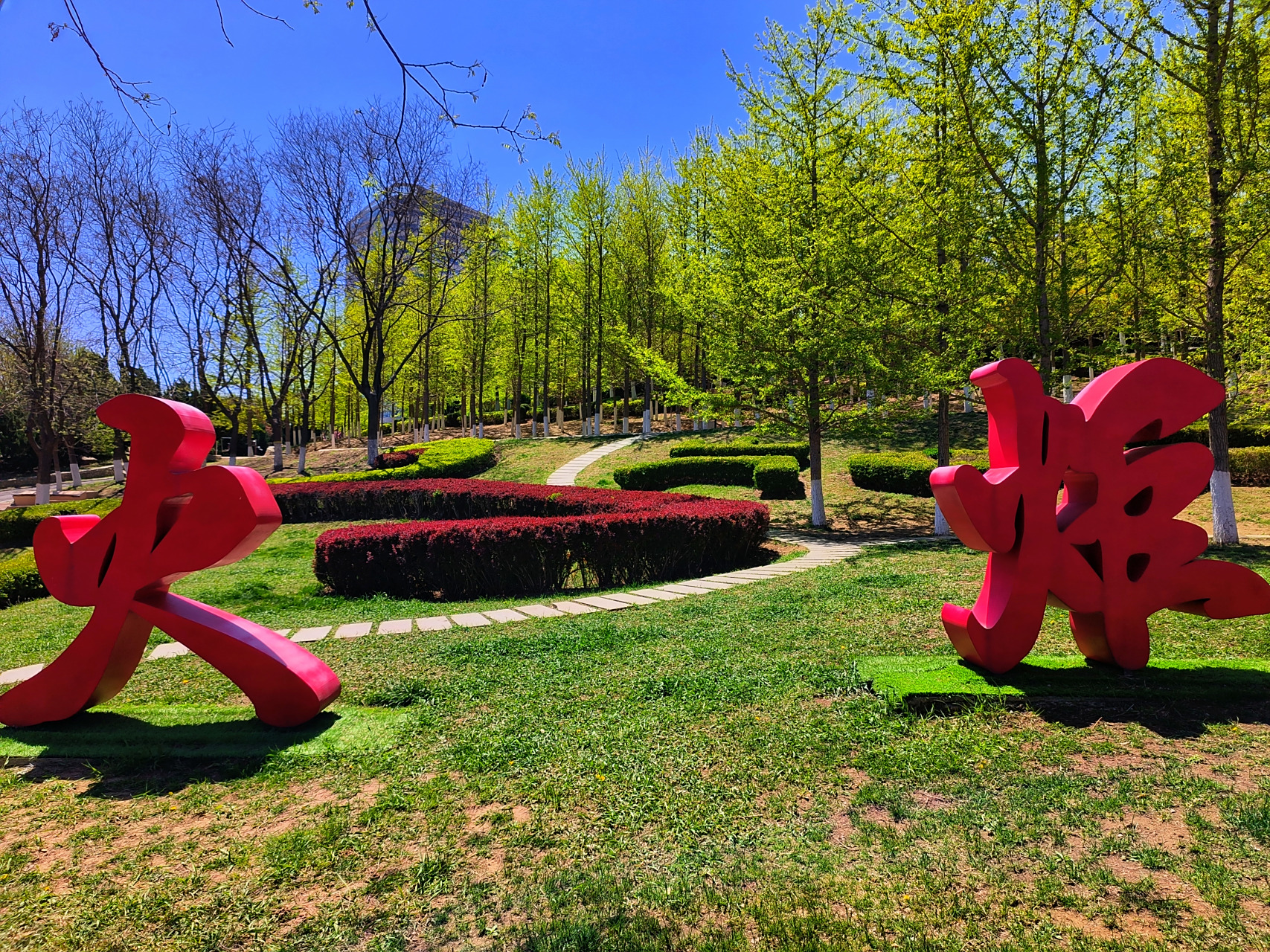 大连高新园区火炬体育公园,不仅秋天银杏美,春天也非常好看,小众打卡
