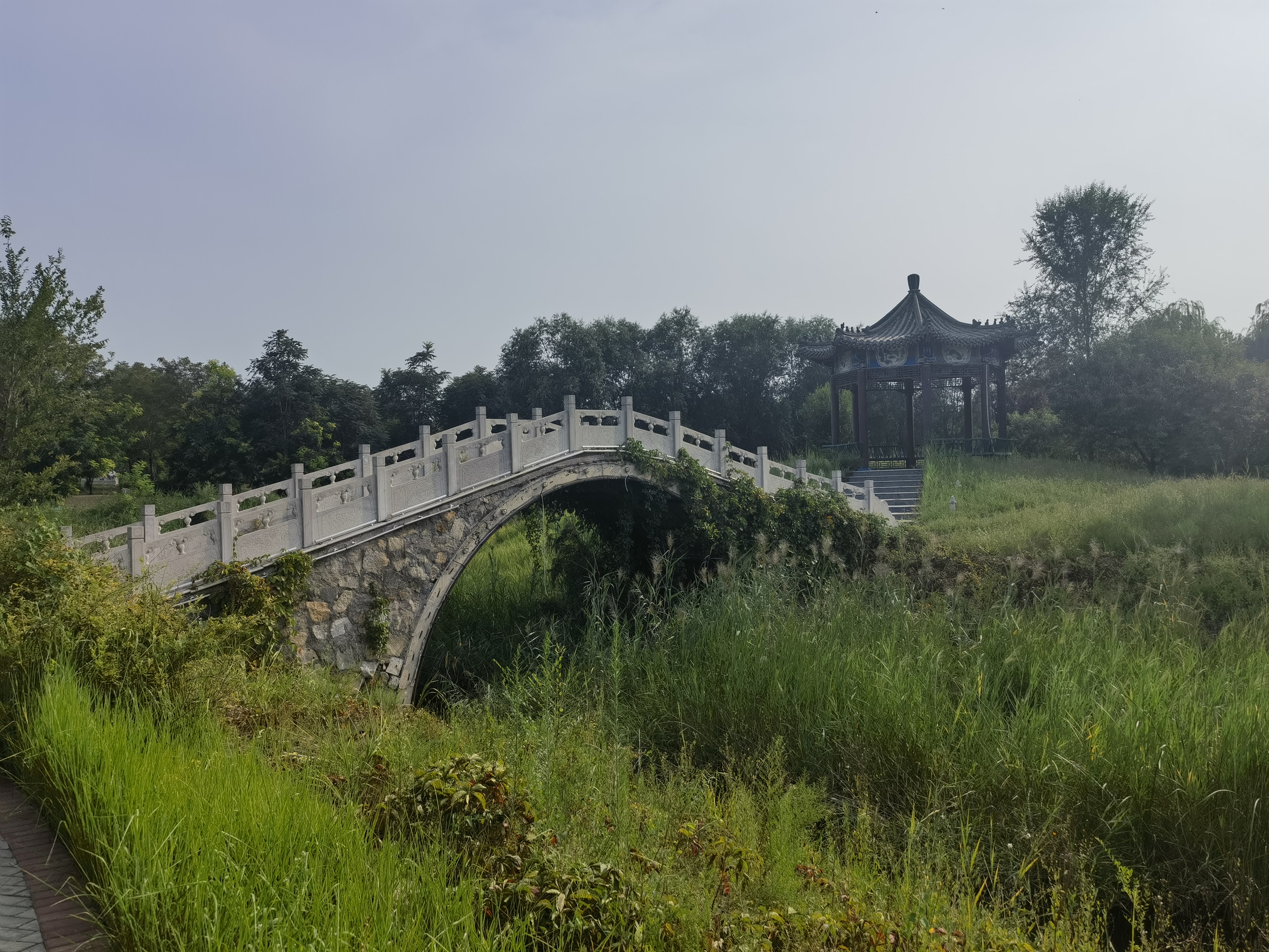 滏东排河岸边的美景～武邑县观津公园