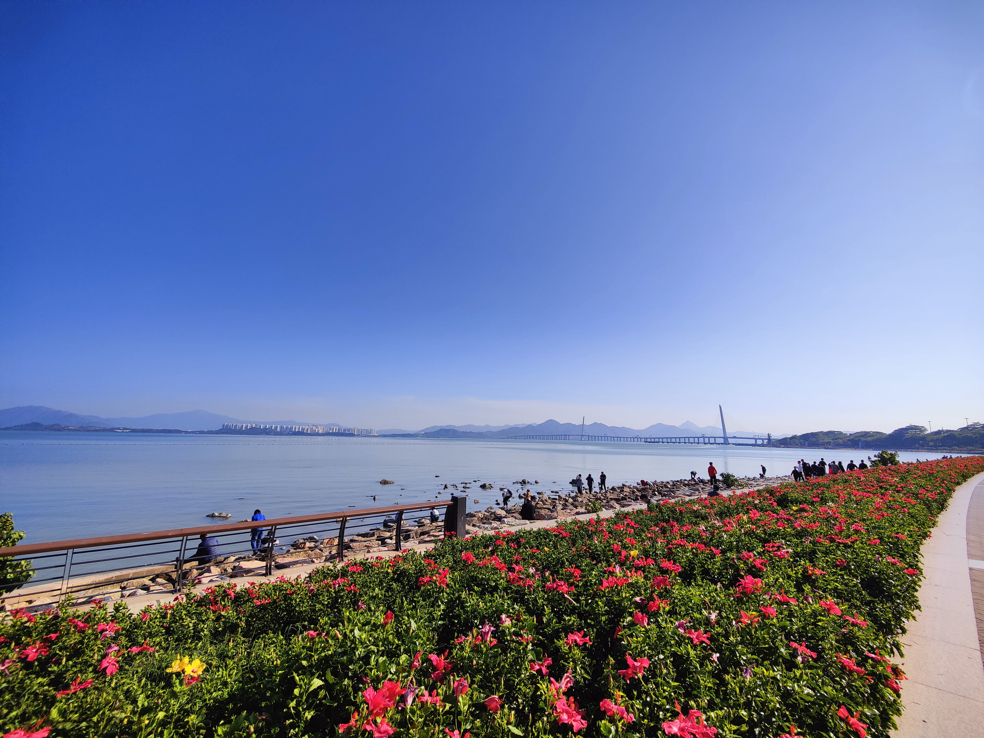 深圳湾公园,原来这么美