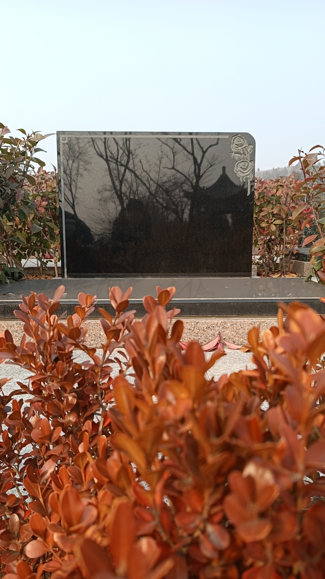 枣庄公墓网‖峄城莲花山公墓地址