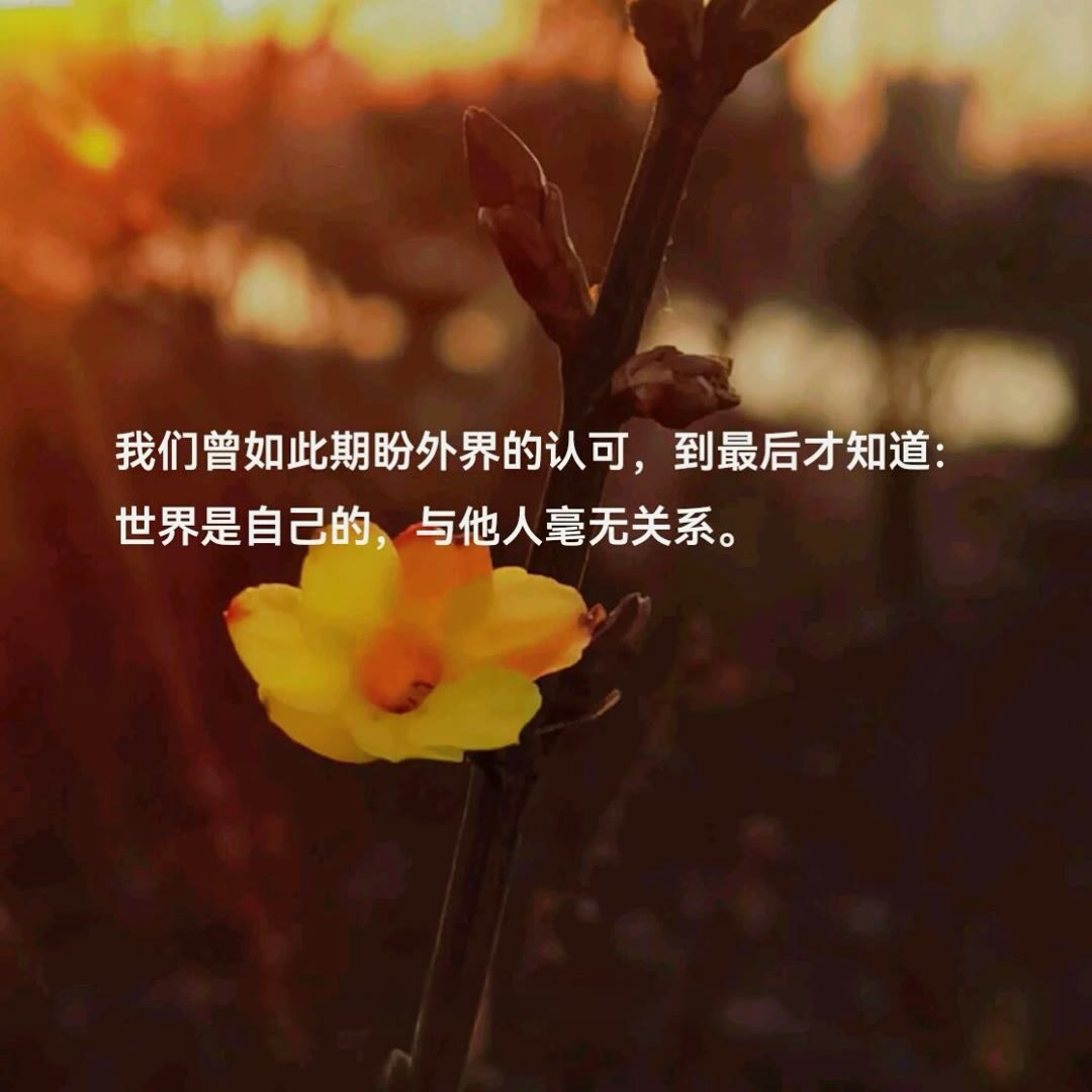 我们不愿意让别人知道我们的脆弱和无助,因为那样会让我们显得软弱