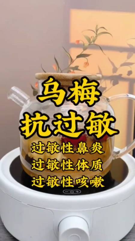 乌梅抗敏汤换季过敏必备良方