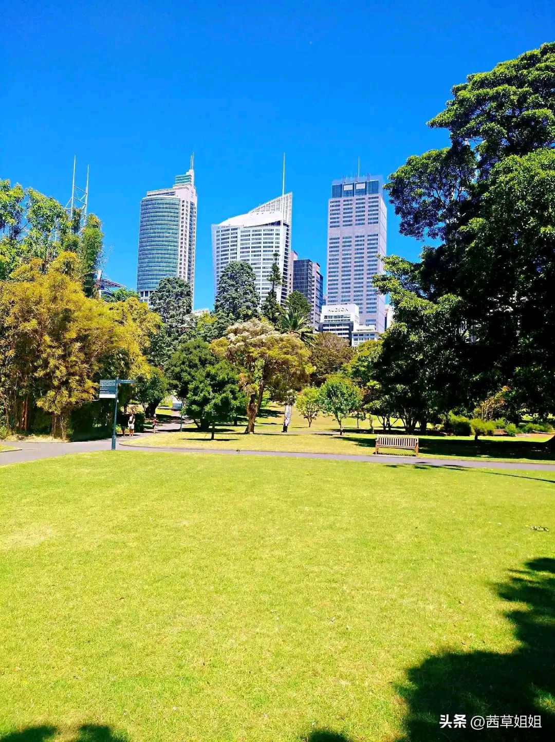 澳洲悉尼皇家植物园,闹市中的一片绿洲,是一个去了又想去的地方