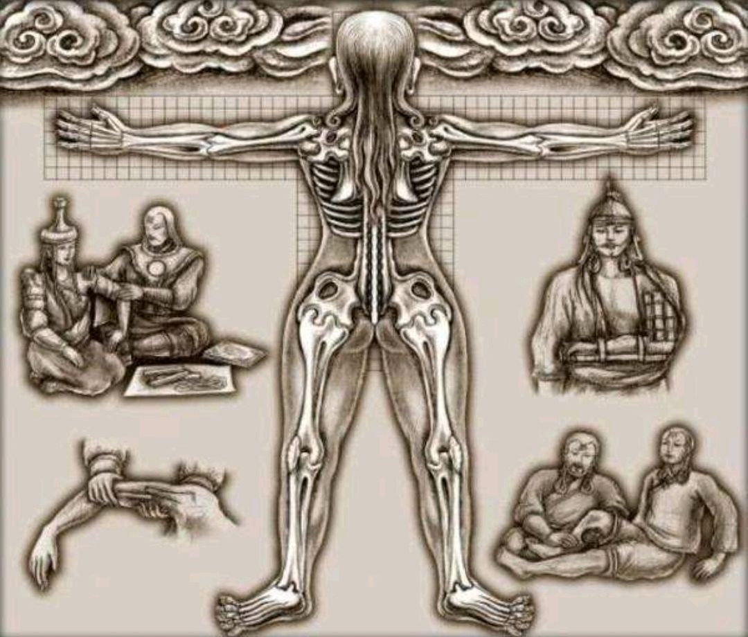 高考志愿专业之    蒙医学专业