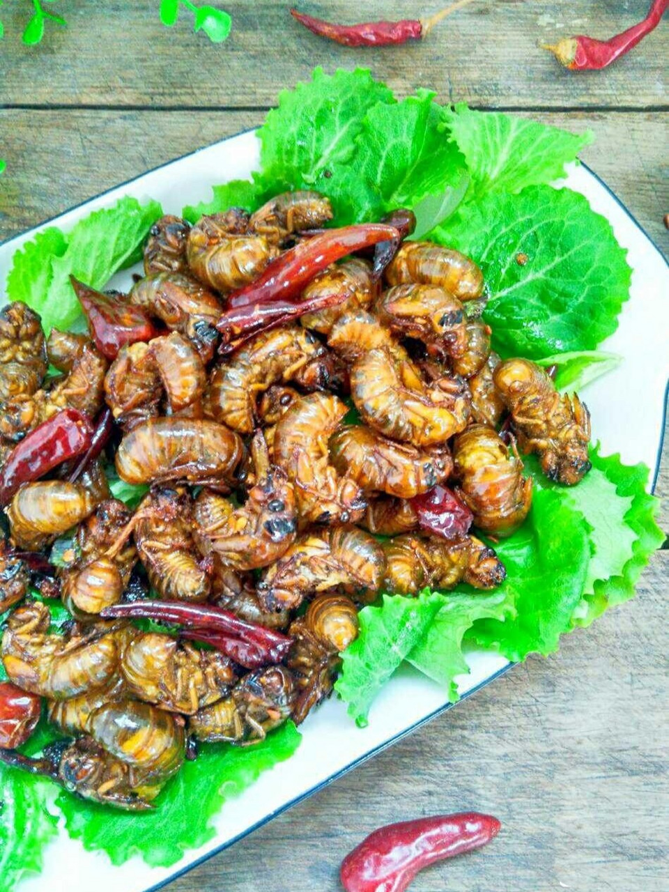 香辣金蝉|||蝉,又名知了猴,知了龟,我们这土话称之为结了龟,以前小