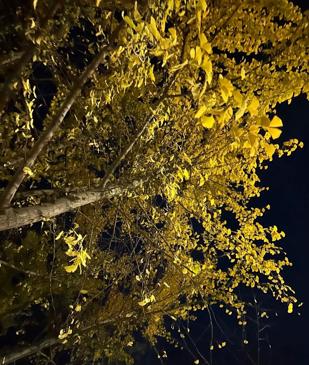 一个人的夜晚好安静#孤独