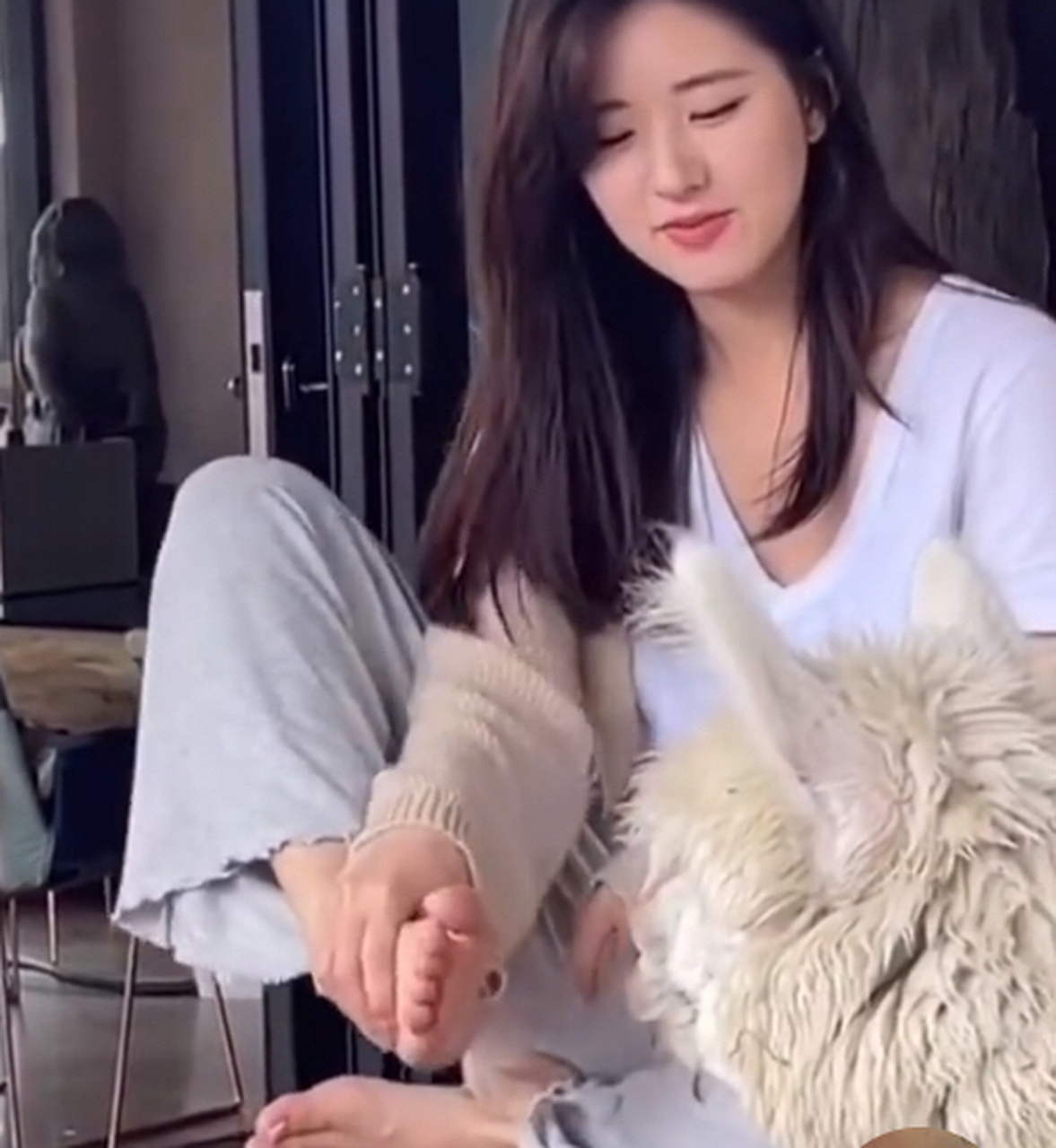 让羊驼闻闻自己的脚臭味?