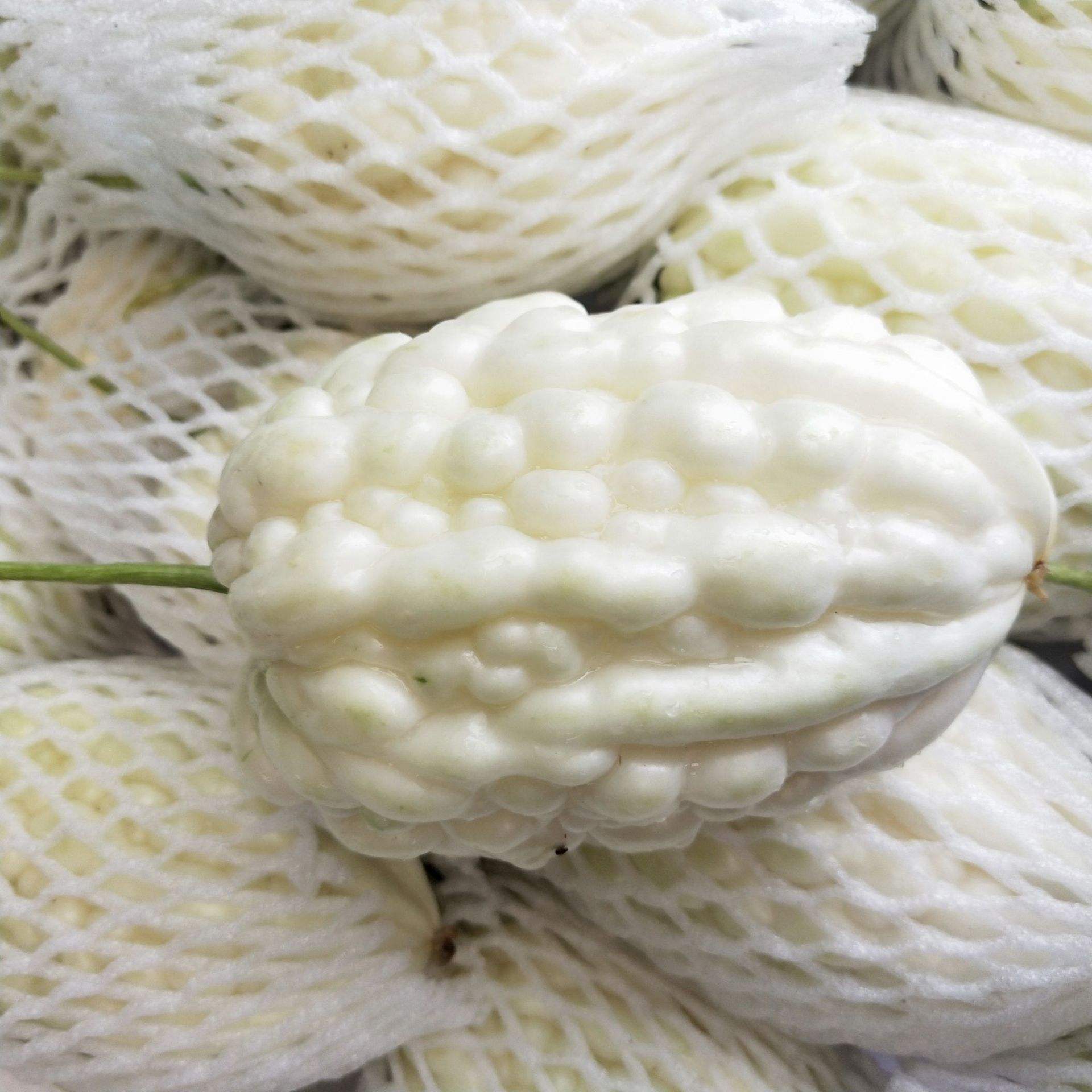 苹果苦瓜,真能甜过苹果,可以生吃吗?种植前景如何?