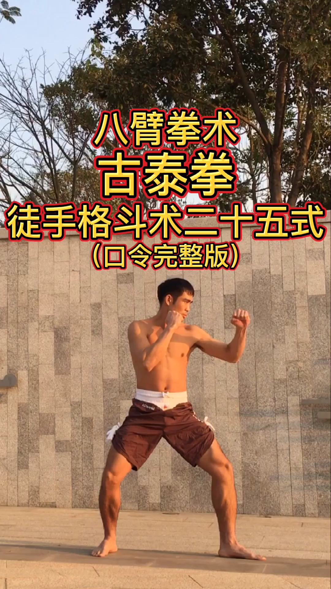 《八臂拳术古泰拳徒手格斗术二十五式》(口令完整版)-度小视