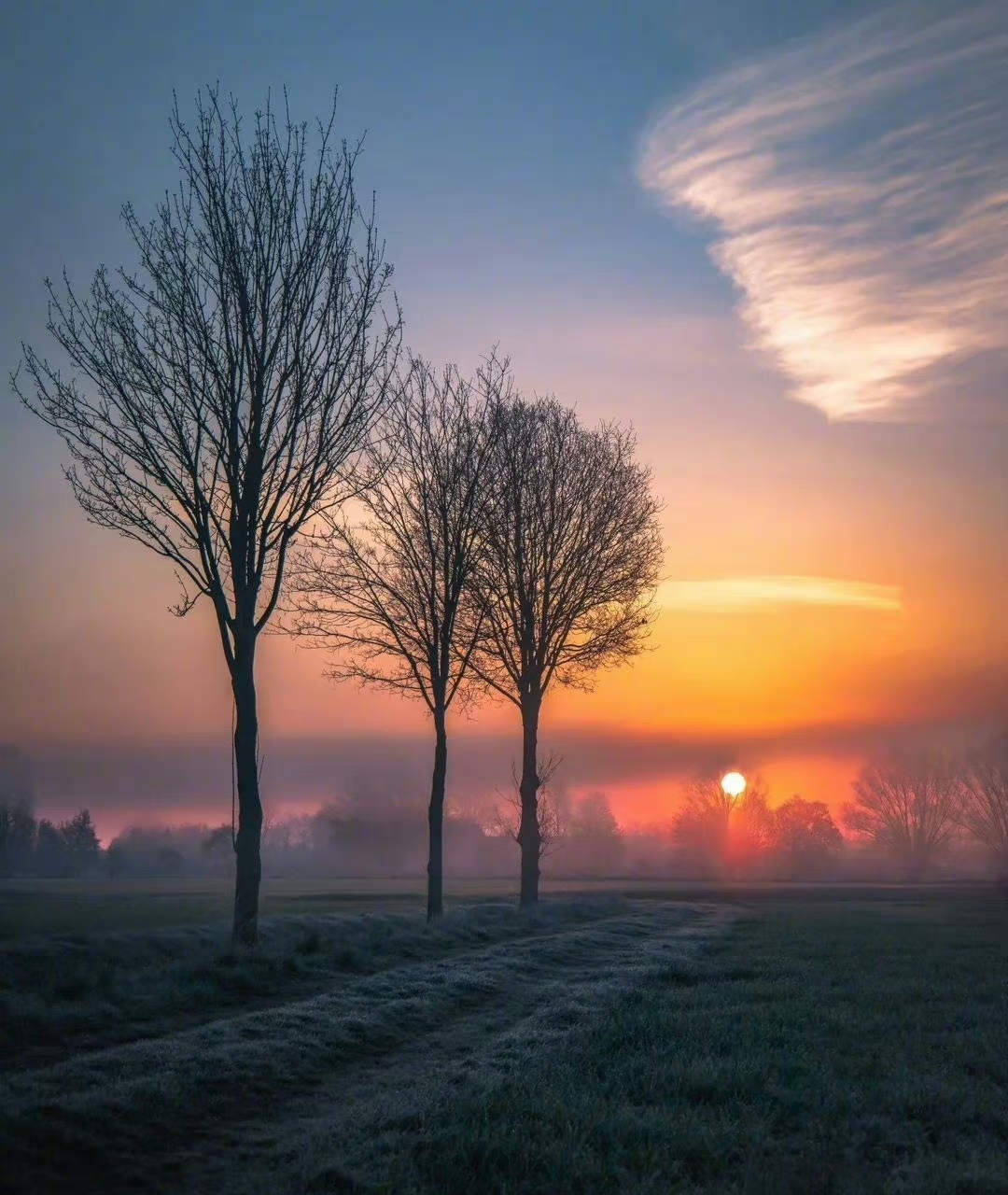 patricksvisuals——清晨的第一束光真的既温暖又美丽,摄影师来这报个