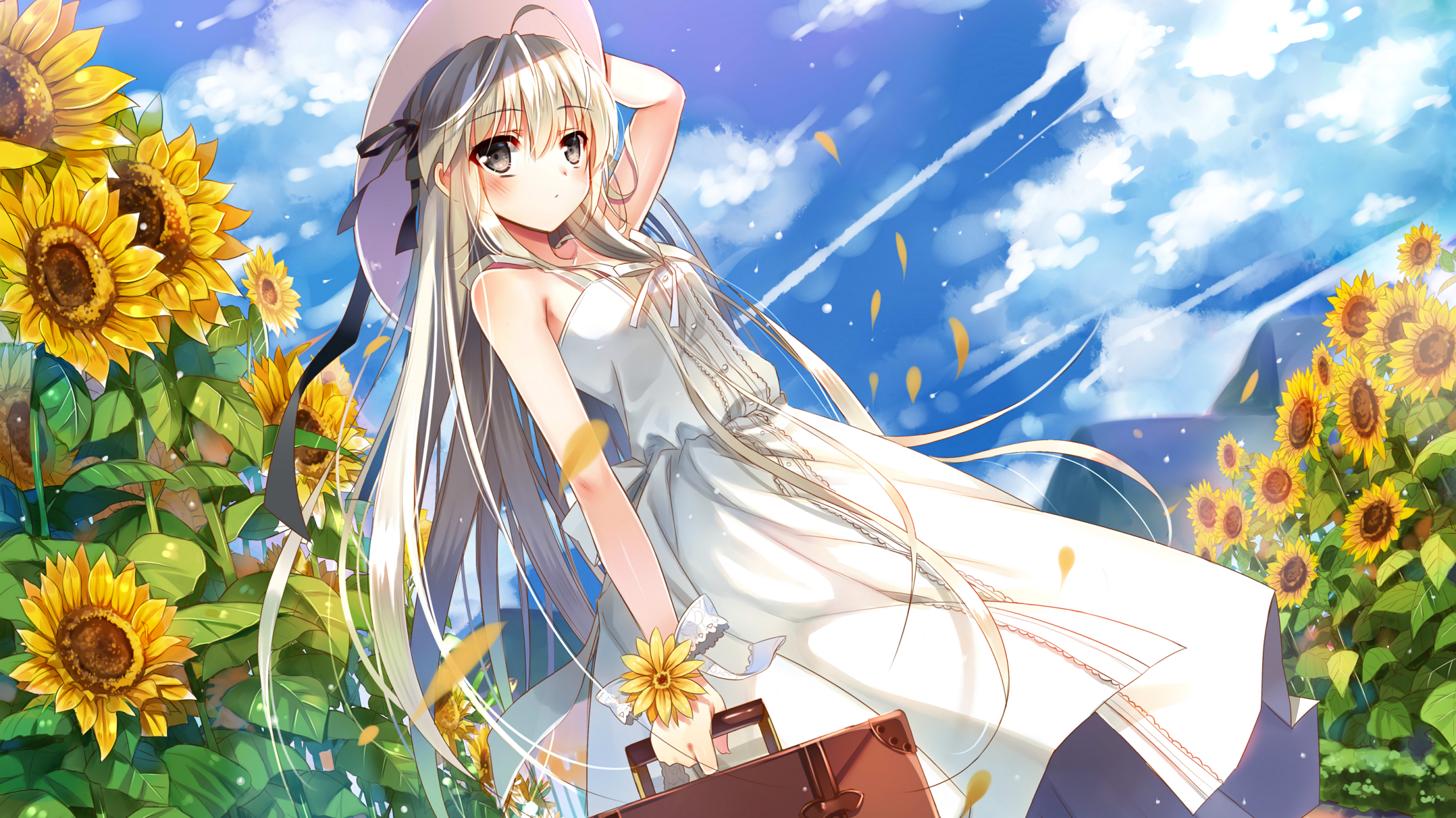 夏日出游#二次元美图# #动漫美图