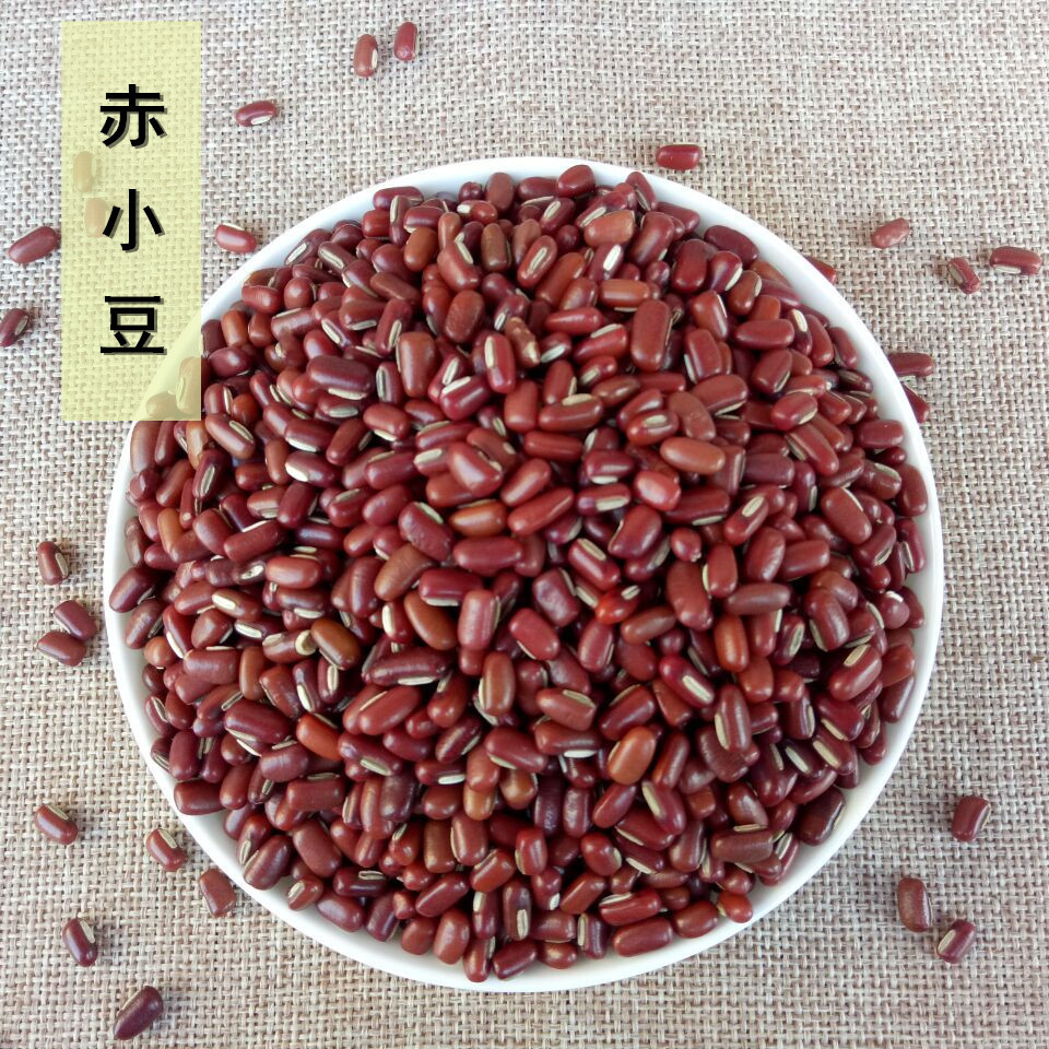 中药古今研究:赤小豆