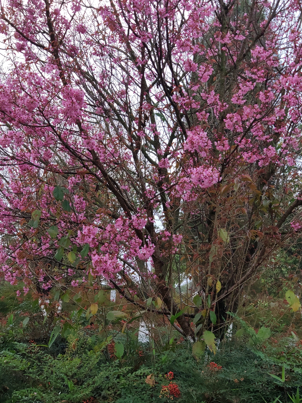 美丽马龙河风景秀丽