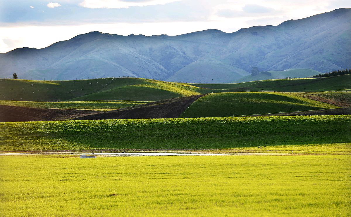 奇闻:西兰公国一个私人国家